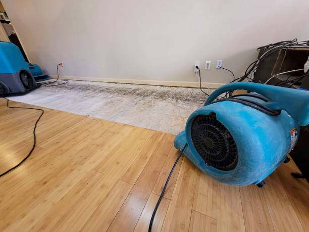 Professional Water Damage Repair technician working in Kenansville, FL